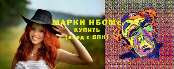 дурь Няндома