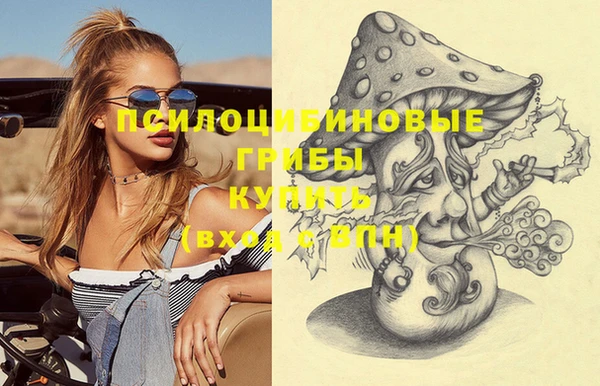 Альфа ПВП Абаза