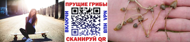 Псилоцибиновые грибы ЛСД  Энем 